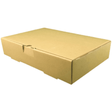 جعبه غذا ۳ پرسی (۱۰۰ تایی)