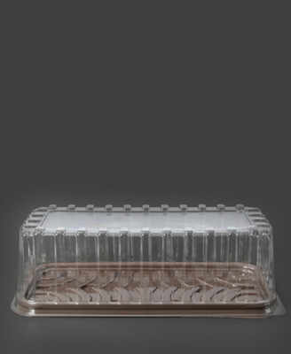 ظرف حمل کیک یکبار مصرف رولتی  (کارتن ۷۵ عدد)